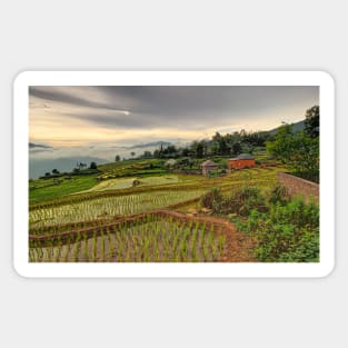 The Rice Terraces of Y Ty Sticker